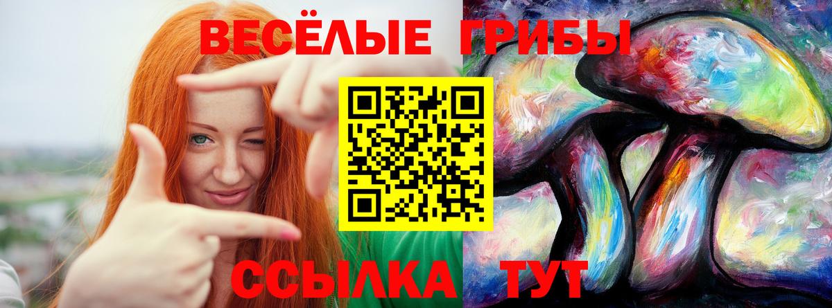 Псилоцибиновые грибы Cubensis  Вход с VPN  Электросталь  Галлюциногенные грибы GOLDEN TEACHER 